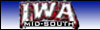 IWA Pay Per View