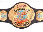 Чемпион мира в тяжёлом весе ECW(WWE)