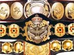 Объединенный Чемпион Тройной Короны All Japan