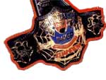 Именной пояс Чемпиона Юниоров IWGP Кендо Ка Шина