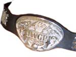 Командные Чемпионы IWGP в тяжёлом весе