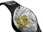 Чемпион Ю-30 IWGP