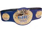 GHC Чемпион Юниоров Pro Wrestling NOAH