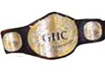 GHC Командные Чемпионы Pro Wrestling NOAH