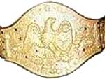 Чемпион NWF