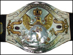 Чемпион WWF в боевых искуствах