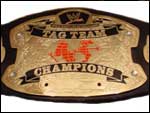 Объединенные Командные Чемпионы Мира WWE