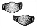 Интернациональные Командные Чемпионы WWF