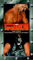 WCW/nWo Super Brawl VIII