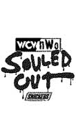 WCW/nWo Souled Out 1998