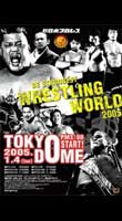 NJPW Wrestling World 2004